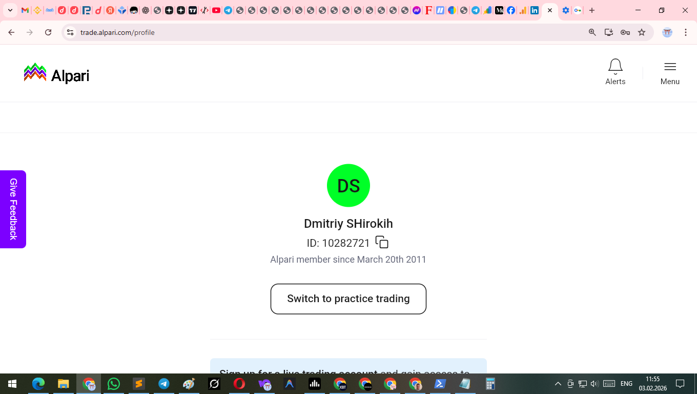 Alpari trading platform interface with open positions