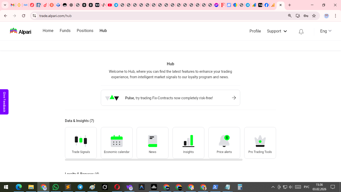 Alpari account statement showing transaction history